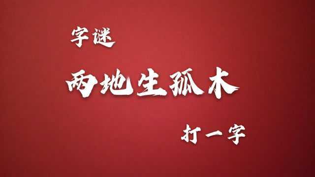 猜字谜:两地生孤木,打一字