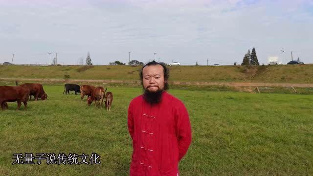 道士为什么不能吃牛肉?听湖南长沙风水大师无量子说传统文化之坤卦