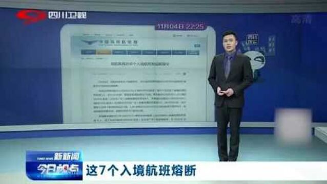 民航局对7个入境航班发熔断指令,涉及国航等