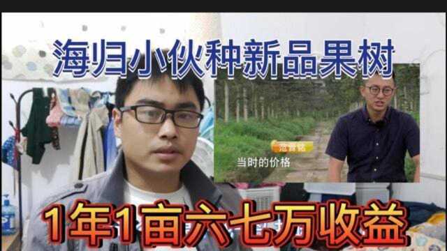 24岁海归小伙种果5年时间种出1年1亩收益六七万的果子