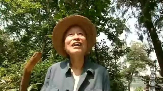 白色毒网:老毒枭去按摩,惦记上了按摩的小姑娘,真是个不折不扣的坏蛋!