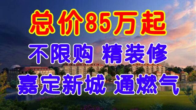 嘉定新城53㎡精装修公寓,不限购,通燃气