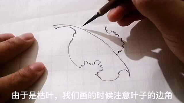 白描枯叶很难画?老师亲自示范教你,初学者看完也能画出来