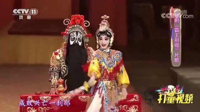 付佳演绎京剧《霸王别姬》选段,熟悉的旋律,扣人心弦