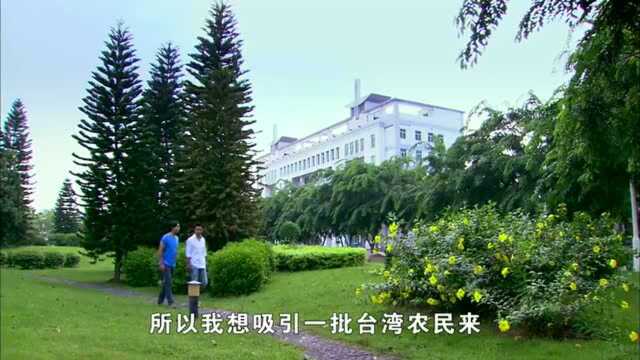 铭镇决定找一批同胞,助振辉公司上市