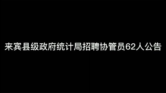 2020来宾县级政府统计局招聘协管员62人公告