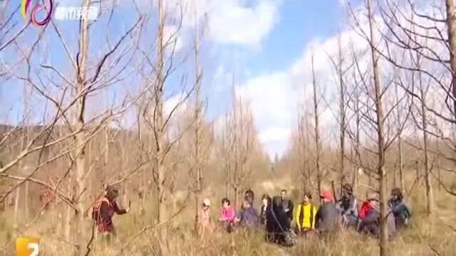 甸尾村湿地美景吸引无数游客,水源保护区不堪重负即将封闭