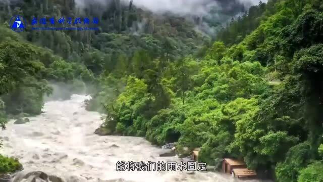 科普微讲堂 | 植物是如何改造环境的?