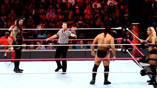 WWE:男女混合双打赛(2)