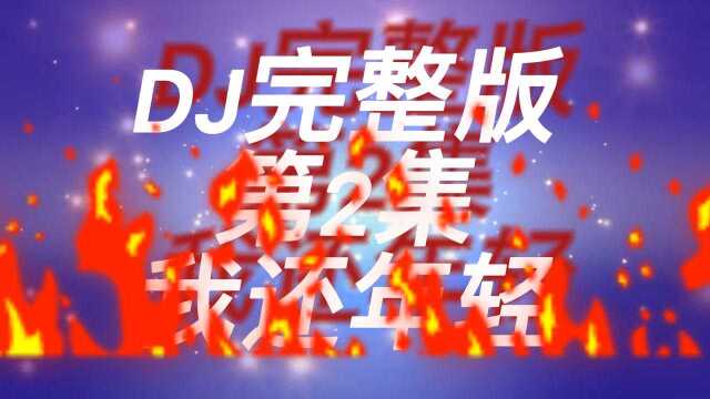 DJ 舞曲完整版第2集