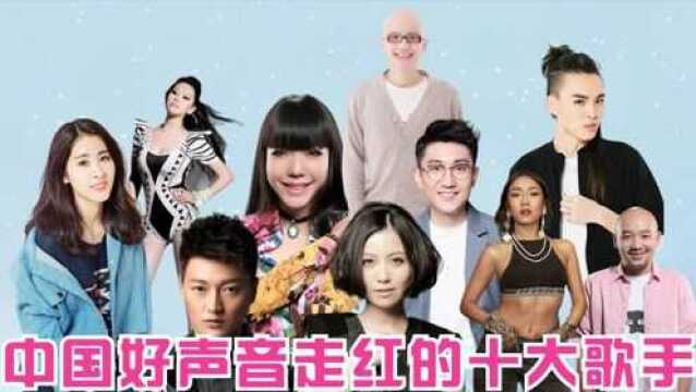 中国好声音走红的十大歌手;张玮出身草根,金志文一歌而红