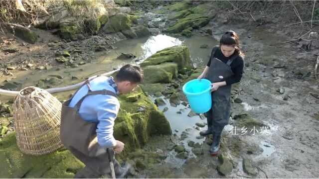 农村小莫带表妹野外搞野,抽干大水坑,发现好多大货,泥鳅妹的表情亮了