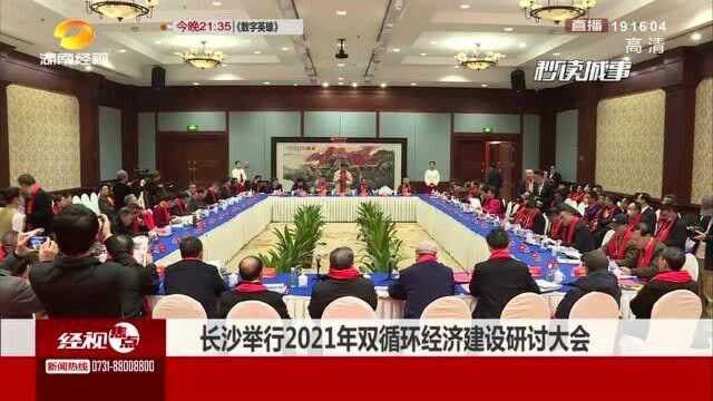 长沙举行2021年双循环经济建设研讨大会