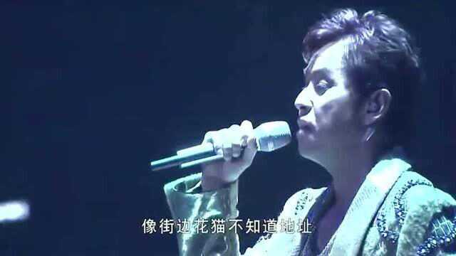 谭咏麟李克勤演唱会版经典歌曲《无边的思忆》精彩动听,值得细细品味!