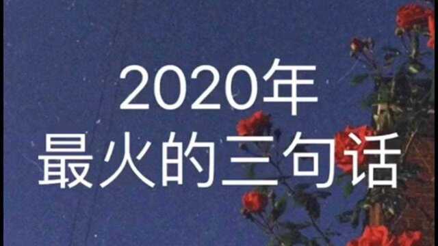 2020最火的三句话