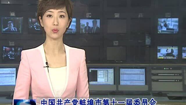 中国共产党蚌埠市第十一届委员会第十二次全体会议决议