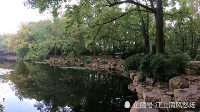 实拍南京灵谷寺,中国古建第一绝,中国最大的无梁殿原来建在这里