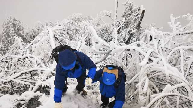 实拍电网巡线工云南冰天雪地巡线,上一秒搀扶下一秒半蹲半爬