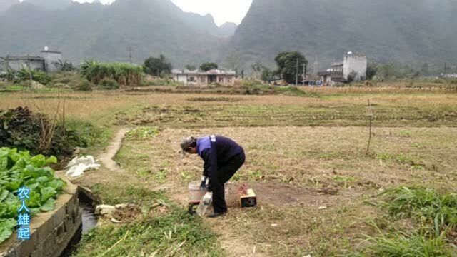 蚯蚓养殖,雄起在摸索套种套养的摸索,一起来看看