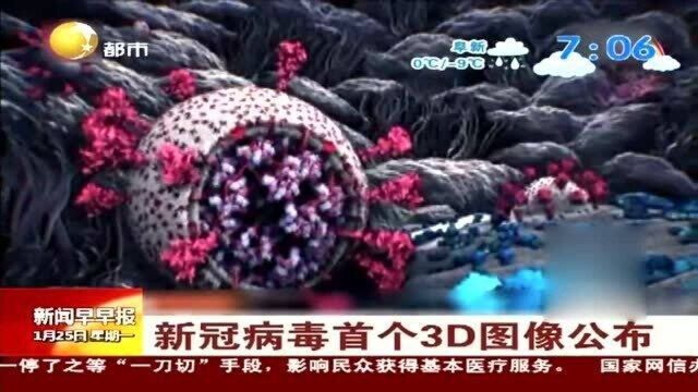 新冠病毒首个3D图像公布