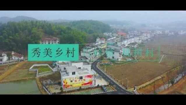 修水秀美乡村点白岭镇桃树村