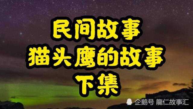 民间故事,猫头鹰的故事,下集