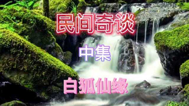 民间奇谈白狐仙缘中集