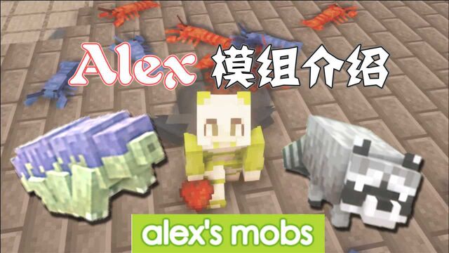 我的世界:Alex的模组介绍,村庄扒手小浣熊,你见过吗?