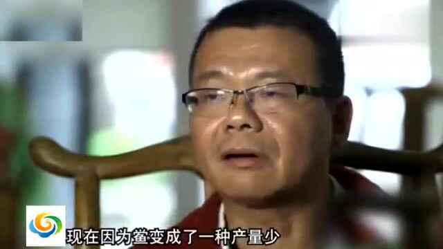 舌尖上的中国:潮阳“鲎粿