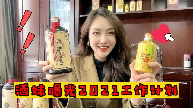 酒妹公开2021年工作计划,这业务你觉得前景好吗?