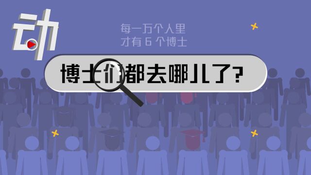 动解|中国博士毕业后,都去哪了?