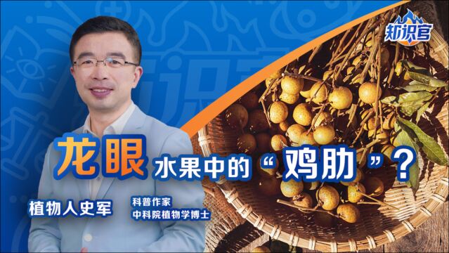 龙眼为什么会成为水果中的“鸡肋”?