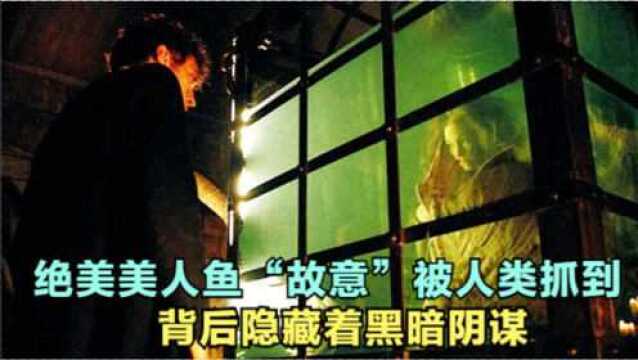 《终极人鱼岛》解说,商人偷到一条绝美美人鱼,闯下大祸