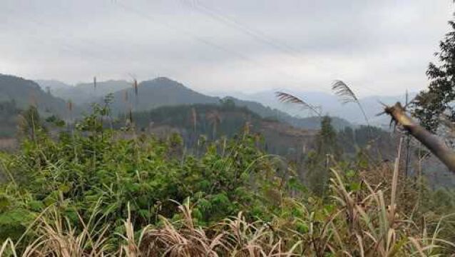 山河风水寻地,山脉蜿蜒开帐,高起星峰低落脉,朝案层层是眠弓