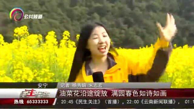 油菜花沿途绽放,满园春色如诗如画