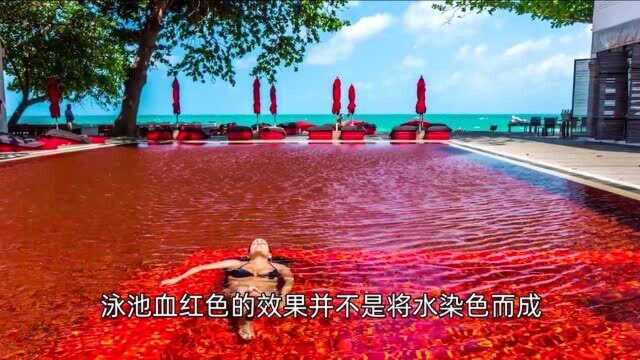 360度无边泳池,7个超有创意的泳池