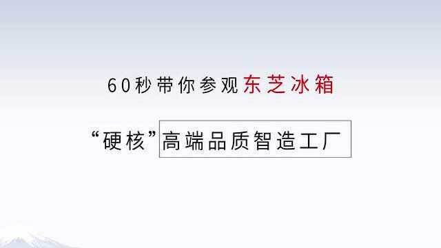 60S带你参观东芝冰箱,“硬核”高端品质智造工厂