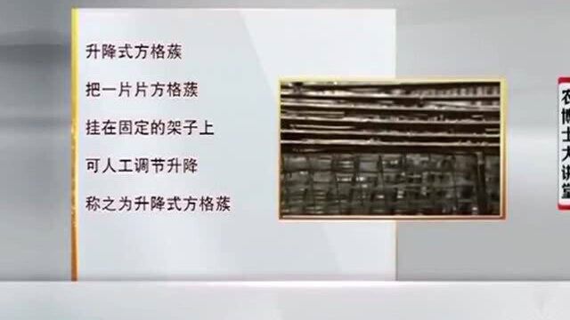 熟蚕对光线很敏感 上蔟时要保持光线柔和 使用方格簇好处多