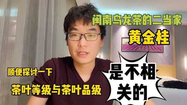 喝个入门级闽南乌龙,黄金桂,茶叶等级跟品级根本没关系