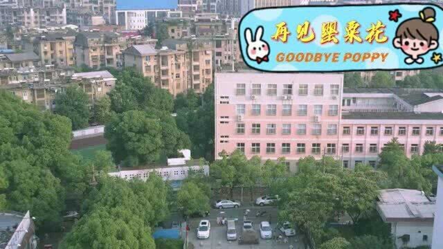 铜陵师范附属小学禁毒教育微视频,珍爱生命,远离毒品