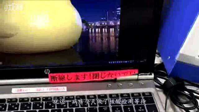 日本疫情又爆发,医院唯一中国护士的我,因为单身被推到抗疫前线?