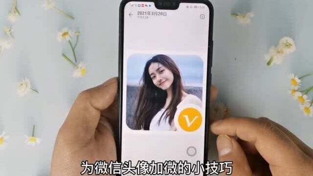 微信头像可以加V认证了,赶快试试吧