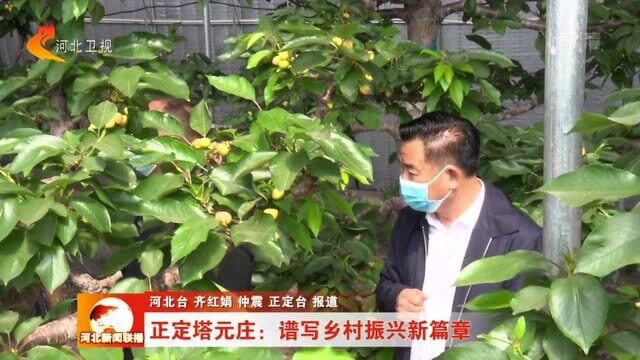 正定塔元庄:为群众办实事 谱写乡村振兴新篇章