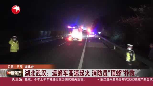 湖北武汉:运蜂车高速起火 消防员“顶蜂”扑救