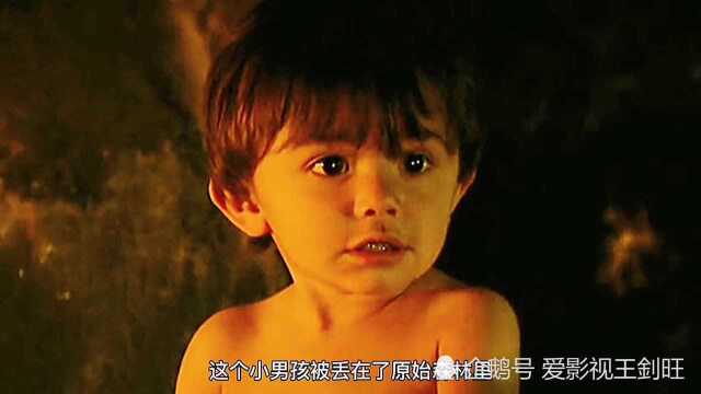 小男孩和森林之王(老虎)的故事