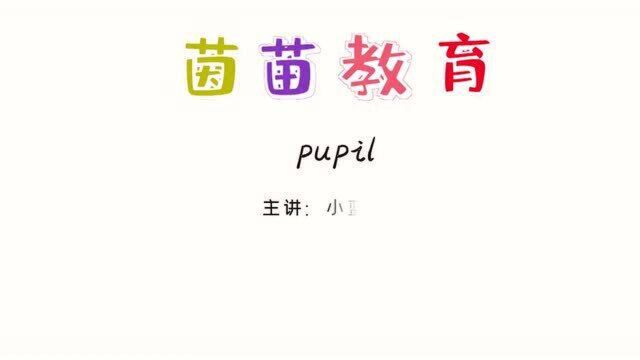 三年级下册英语unit1单词:pupil