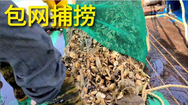 浙江大哥480包网捕捞,收获三筐海鲜,大家觉得值吗