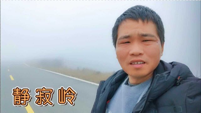 山路大雾弥漫路上人影都没有,现实版静寂岭,只能硬着头皮往前开