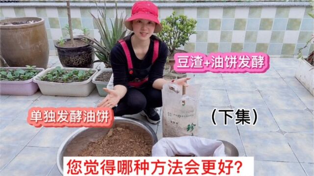 油饼做有机肥 掌握正确发方法 肥力足无臭味 做干肥液体肥都可以