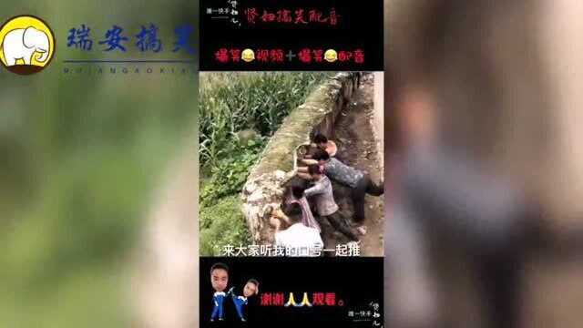 瑞安快乐联盟持续为大家带来快乐